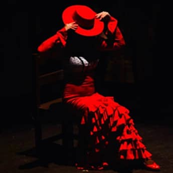 Del Flamenco Al Cielo