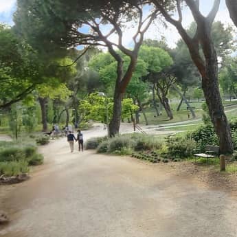 Senderismo de Dehesa de la Villa a Casa de Campo