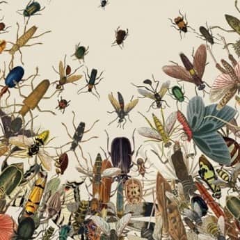Taller: Increíble Mundo Insecto