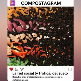 Compostagram: la red trófica y social del suelo