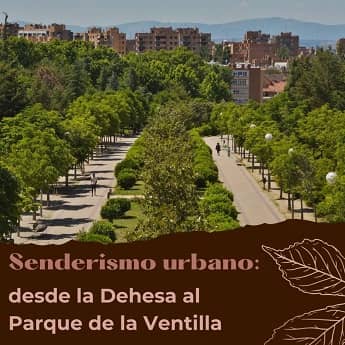 Senderismo urbano: desde la Dehesa al Parque de la Ventilla