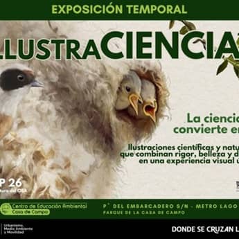 Ilustraciencia 12