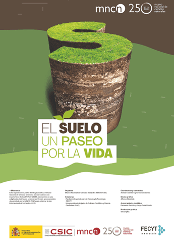 El suelo, un paseo por la vida