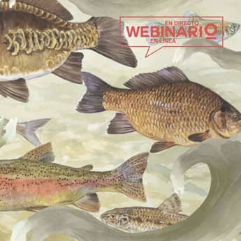 Webinario: El regreso de los peces nativos y el reto de las especies invasoras en la renaturalización del río Manzanares