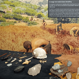 Exhibición 'El Neolítico y la Edad de los Metales'