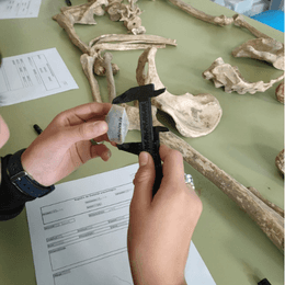 Taller de Arqueología: 'El laboratorio del pasado' | Semana de la Ciencia 2026