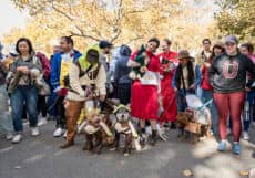 Riverside Park Pup Halloween Parade