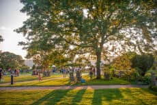 Sunset Wednesdays 2026