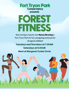 Forest Fitness