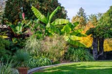 Garden Highlights Walk