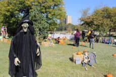 Spooktacular Fiesta