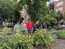Volunteer Workday: Wanaqua Garden