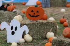 2026 Ocean Breeze Fall Festival