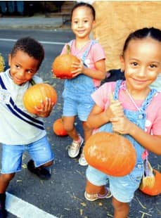 Haunted House and Hallow Gala