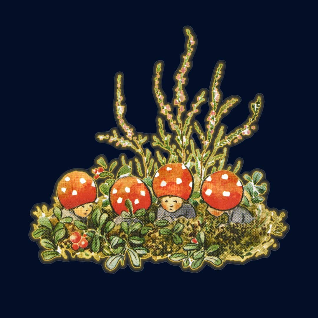 Children of the Forest (1–3 years old)