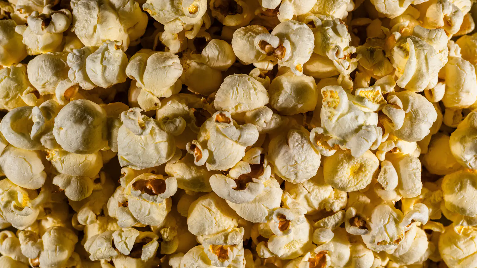 1st Wednesday Matinee: Kids Edition — The SpongeBob Movie: Search for SquarePants